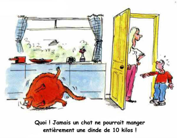 Chat & Dinde-humourenvrac